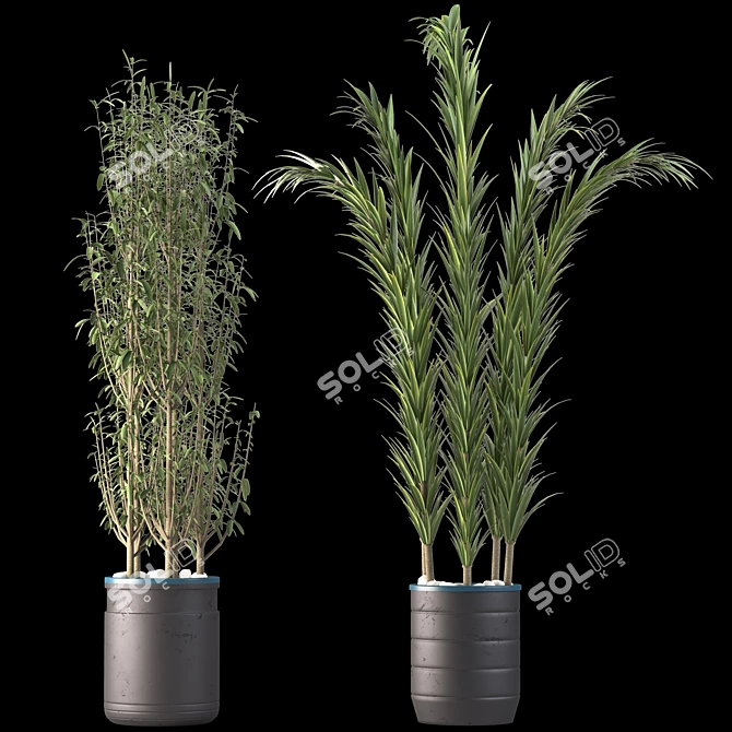 Decorative Plant Duo: Interior Bliss 3D model image 7