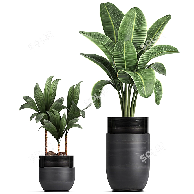 Exotic Plant Collection: Indoor & Outdoor Decor 3D model image 2