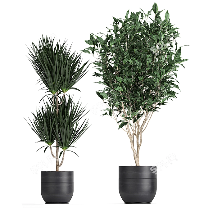 Exotic Plant Collection: Indoor & Outdoor Decor 3D model image 3