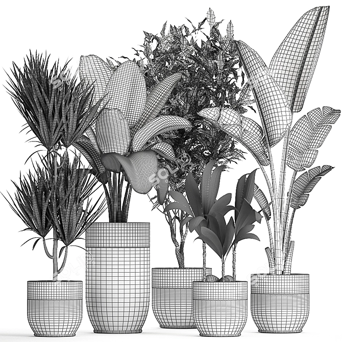 Exotic Plant Collection: Indoor & Outdoor Decor 3D model image 5