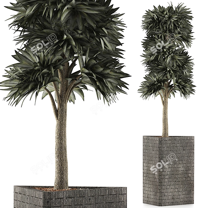 Modern Botanical Collection 3D model image 1