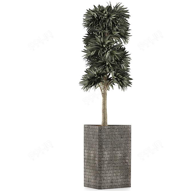 Modern Botanical Collection 3D model image 2