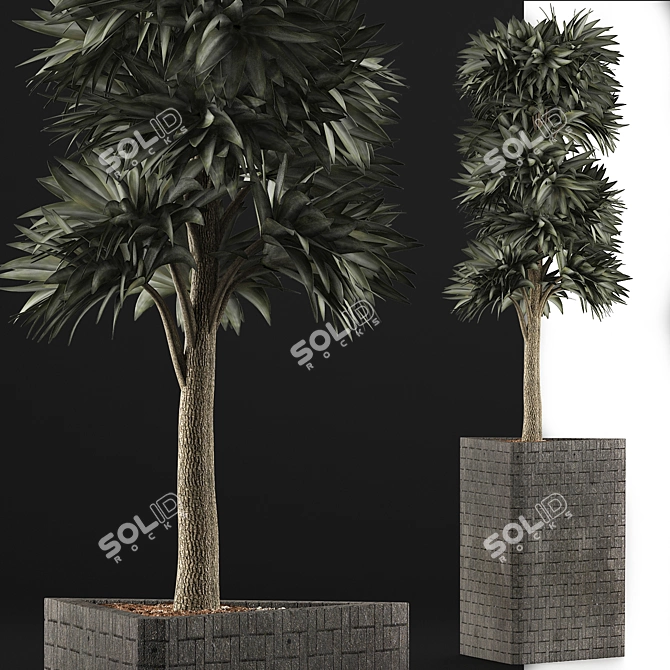 Modern Botanical Collection 3D model image 3