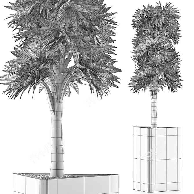 Modern Botanical Collection 3D model image 5