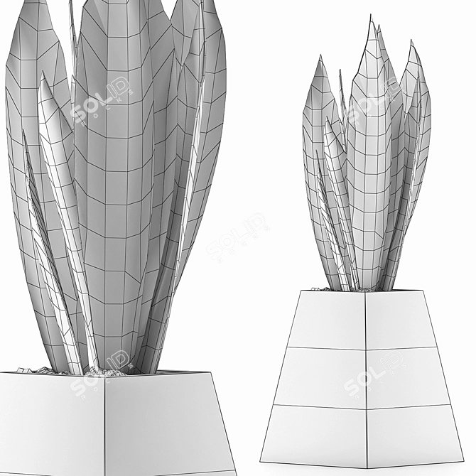 Modern Agave Plant Collection 3D model image 5