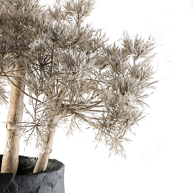 Natural Greenery: Dry Plants 32 3D model image 3