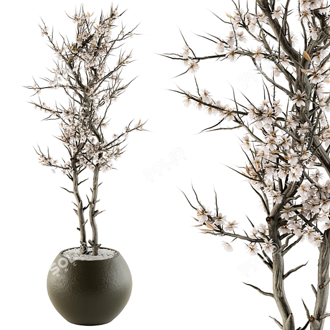 Greenery Haven: Annefleurs Indoor Plants 3D model image 1