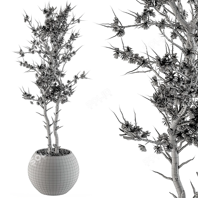 Greenery Haven: Annefleurs Indoor Plants 3D model image 4