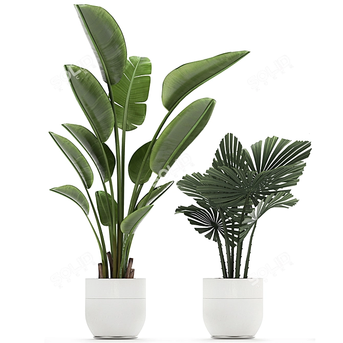 Exquisite Plant Collection in White Vases 3D model image 2