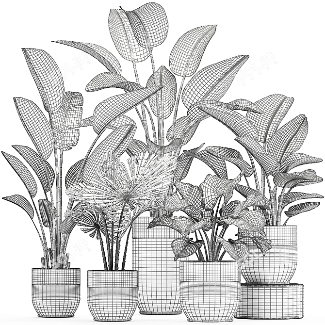 Exquisite Plant Collection in White Vases 3D model image 5