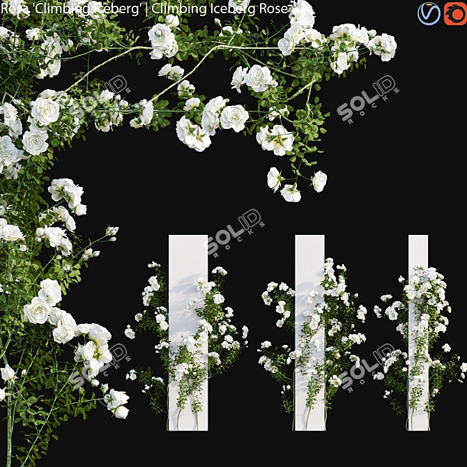 Frozen Blossom: Climbing Iceberg Rose 3D model image 1