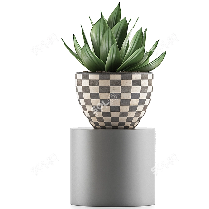 118 Agave Plant Collection 3D model image 2