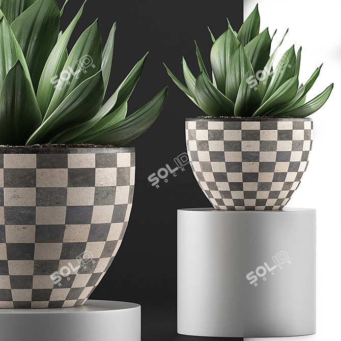 118 Agave Plant Collection 3D model image 3