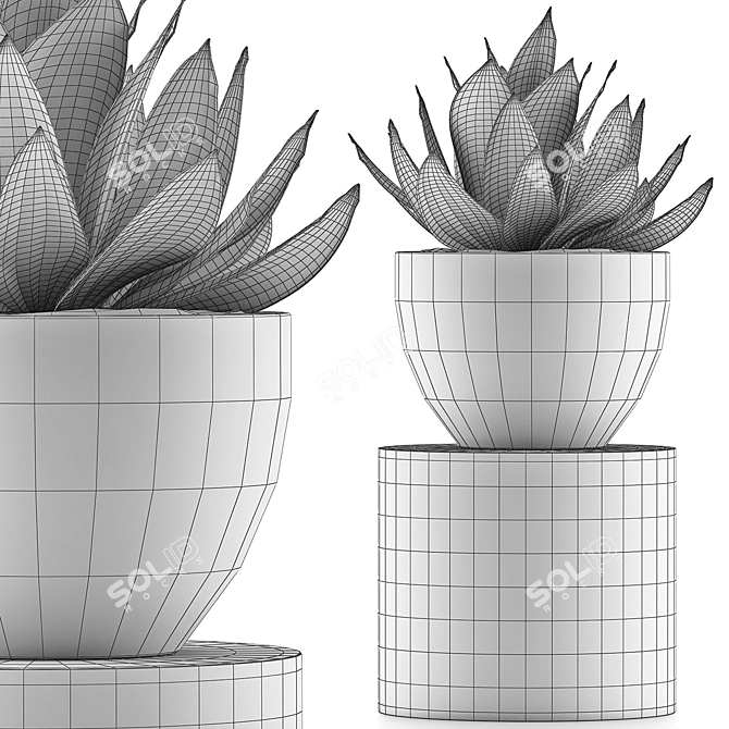 118 Agave Plant Collection 3D model image 5