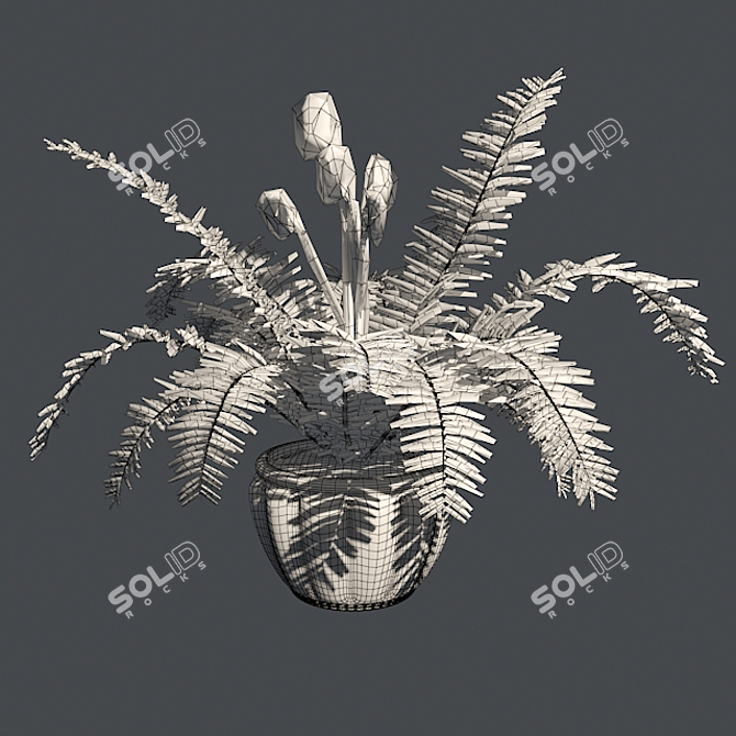 Lush Double Boston Fern: Incl. Pot 3D model image 5