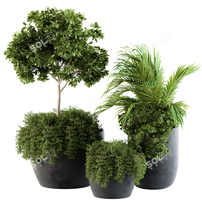 Green Oasis Outdoor Plants - Set 81 3D model image 1