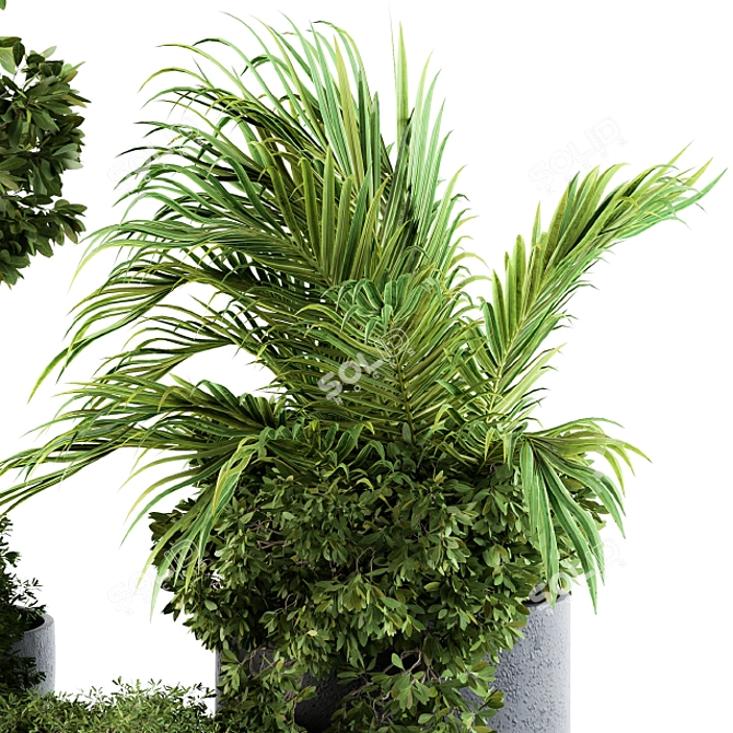 Green Oasis Outdoor Plants - Set 81 3D model image 2