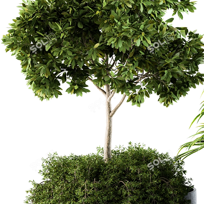 Green Oasis Outdoor Plants - Set 81 3D model image 3