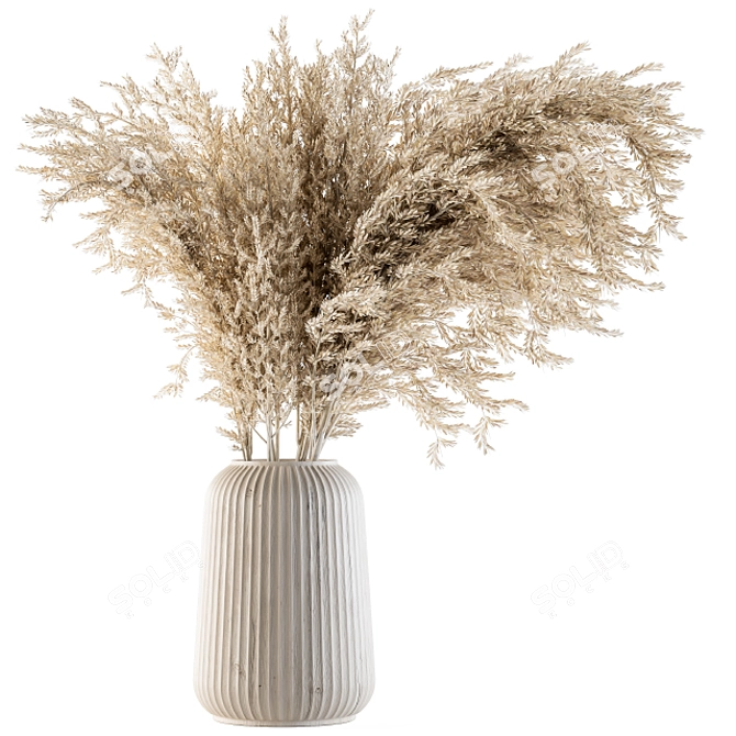 Natural Dried Pampas Grass 3D model image 1