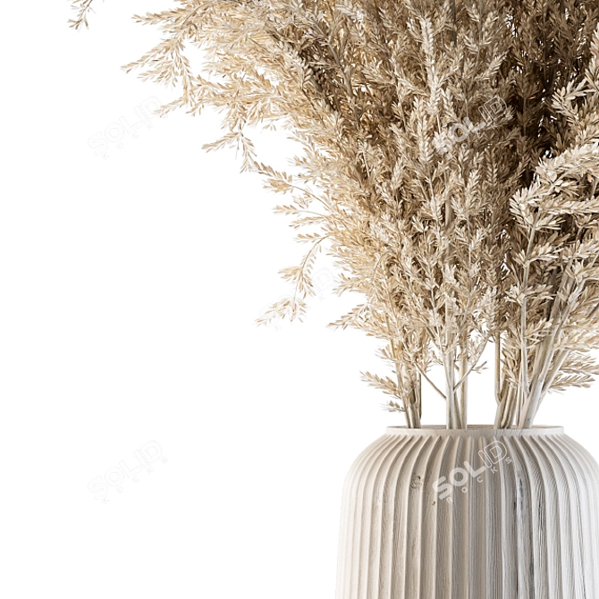 Natural Dried Pampas Grass 3D model image 2