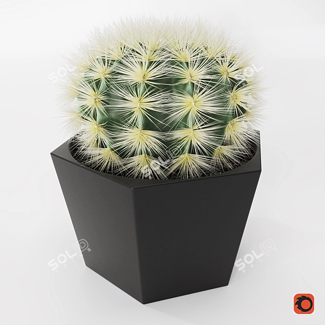 Stylish Cactus Pot - Hair And Fur 3D model image 1