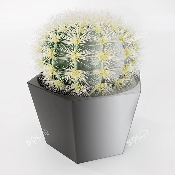 Stylish Cactus Pot - Hair And Fur 3D model image 2