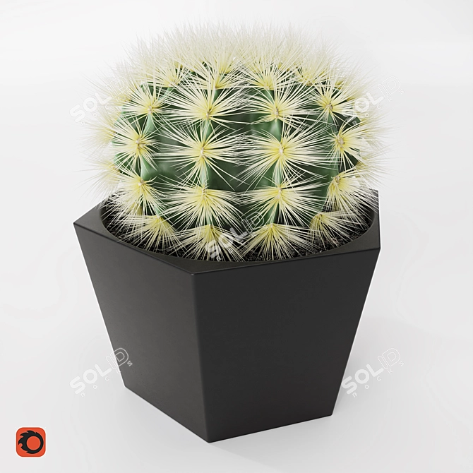 Stylish Cactus Pot - Hair And Fur 3D model image 3