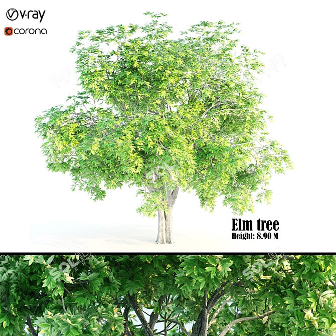 Ethereal Elm Tree: Stunning Polygon Art 3D model image 1