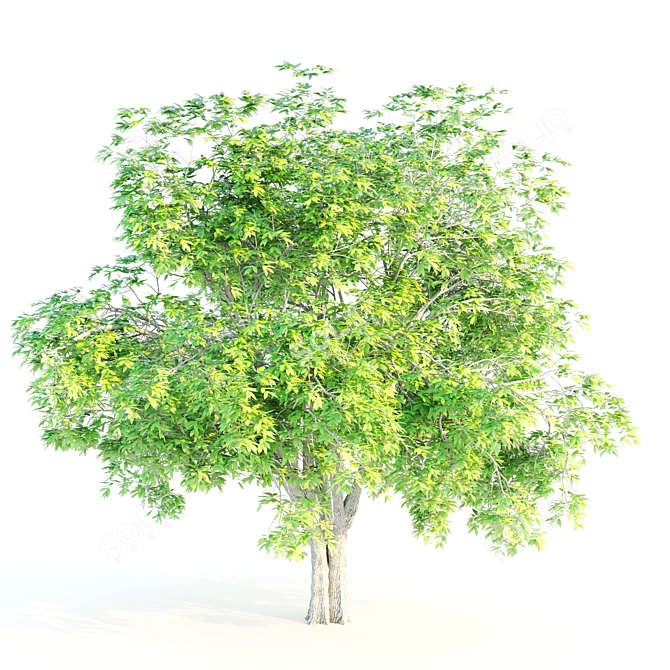 Ethereal Elm Tree: Stunning Polygon Art 3D model image 2