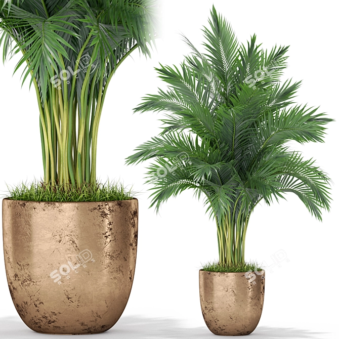 Diverse Plant Assortment for Your Home 3D model image 1