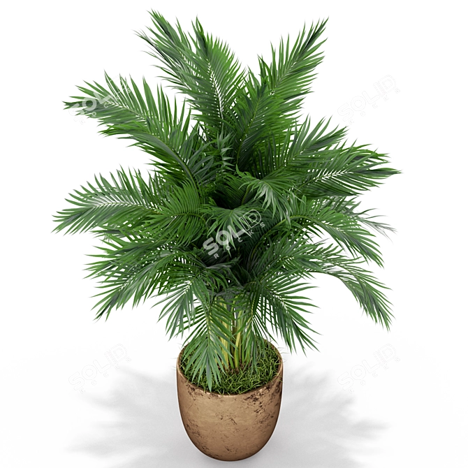 Diverse Plant Assortment for Your Home 3D model image 2