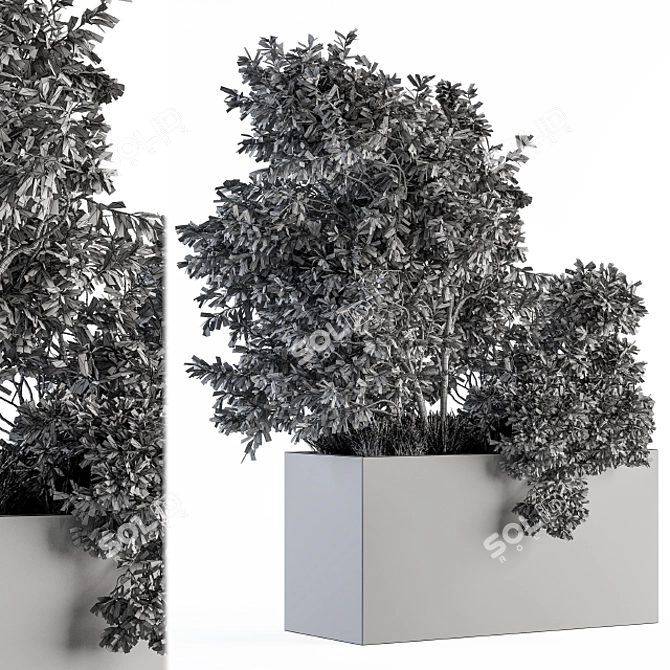 82 Piece Outdoor Olive Plant Set 3D model image 4