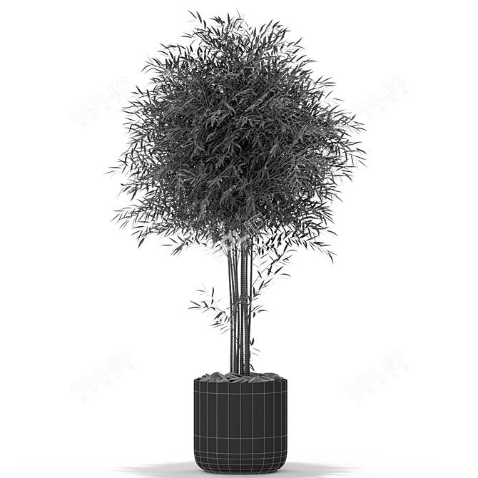 Exquisite Plants Collection 387 3D model image 2