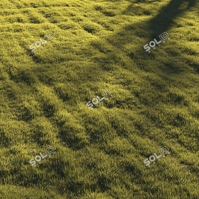 Lush Greenscape Scattered Grass 3D model image 2