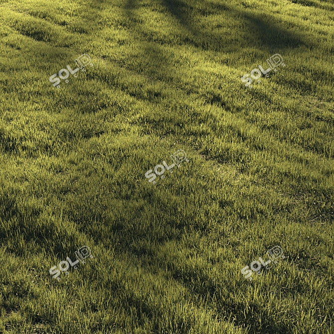 Lush Greenscape Scattered Grass 3D model image 3