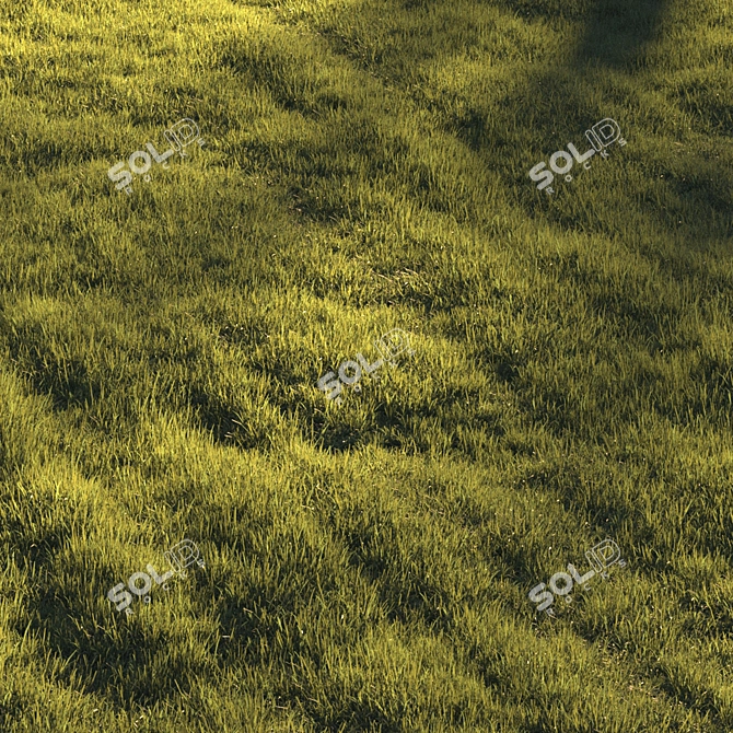 Lush Greenscape Scattered Grass 3D model image 4