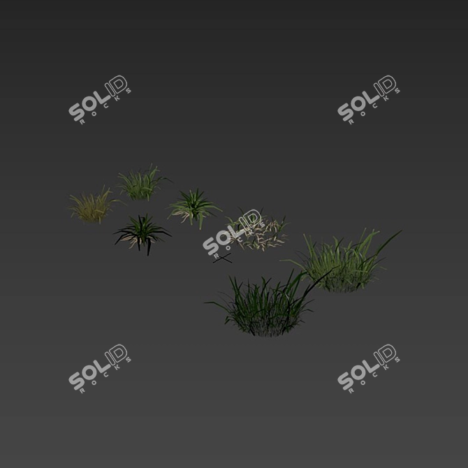 Lush Greenscape Scattered Grass 3D model image 5