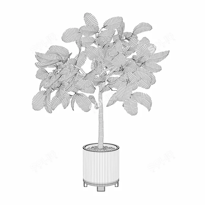 Elegant Ficus Benghalensis: 3D Plant Collection 3D model image 2
