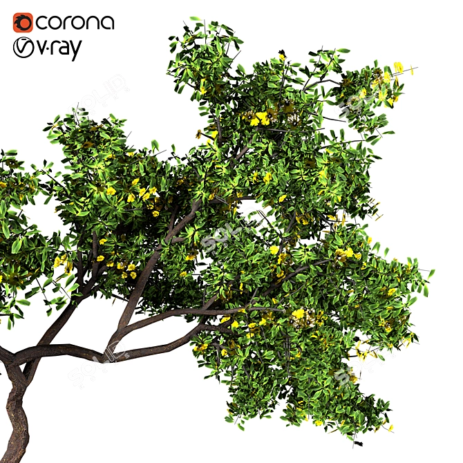 Elegant Ornamental Tree: Perfect Home Decor 3D model image 3