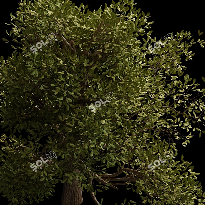 Autumn Serenity: 3D Tree with Natural Textures 3D model image 2
