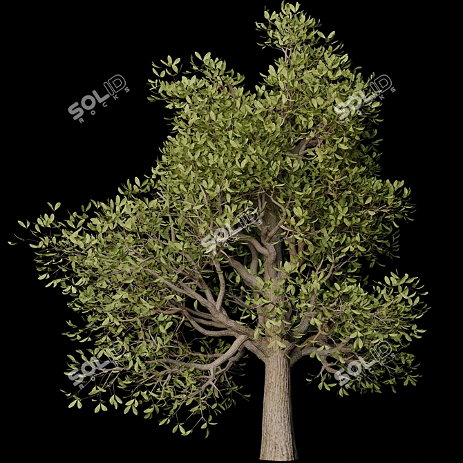 Autumn Serenity: 3D Tree with Natural Textures 3D model image 3