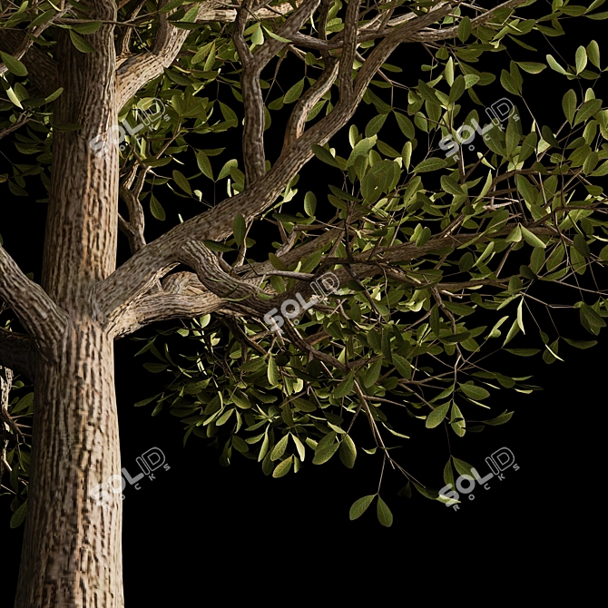 Autumn Serenity: 3D Tree with Natural Textures 3D model image 4