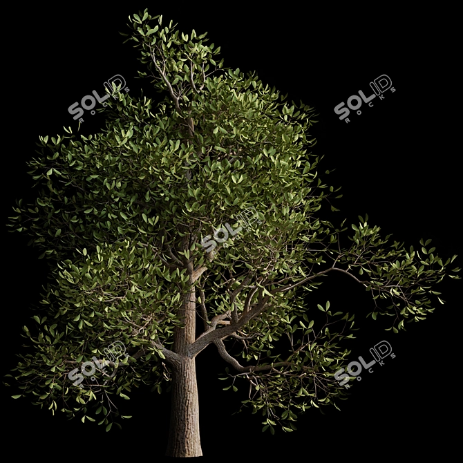 Autumn Serenity: 3D Tree with Natural Textures 3D model image 5