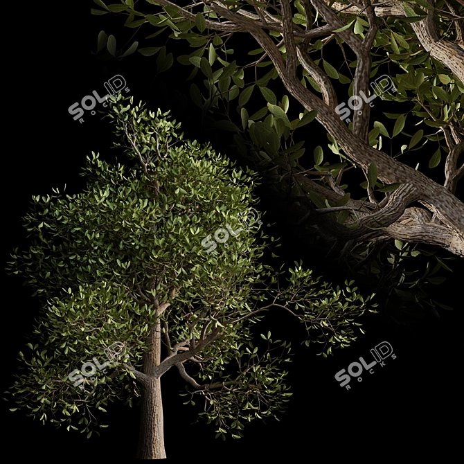 Autumn Serenity: 3D Tree with Natural Textures 3D model image 9