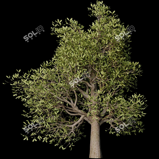 Autumn Serenity: 3D Tree with Natural Textures 3D model image 10