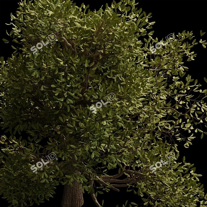 Autumn Serenity: 3D Tree with Natural Textures 3D model image 11