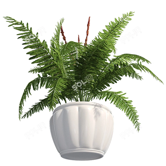 Cinnamon Fern: Potted Greenery Elegance 3D model image 4