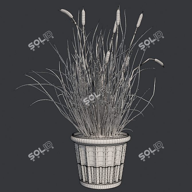  Realistic Cattail Plant with Pot 3D model image 5