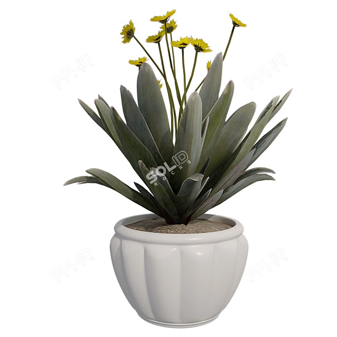 Cinnamon Fern: Potted Beauty 3D model image 1