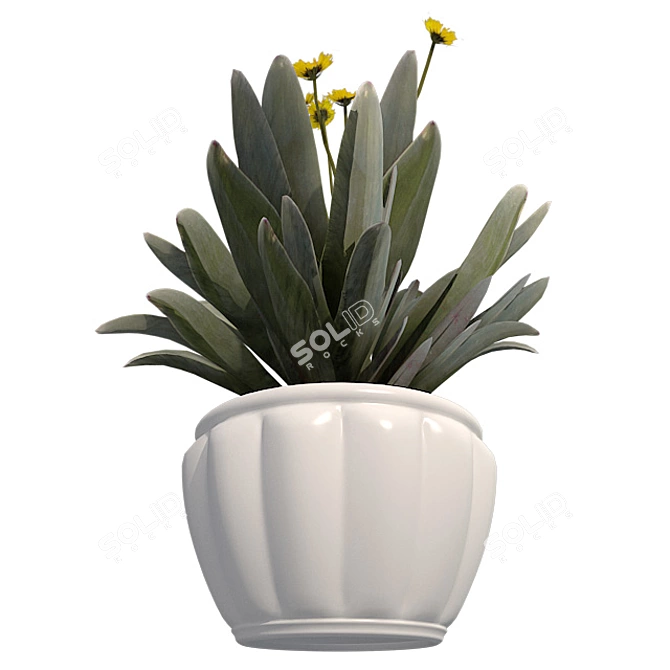 Cinnamon Fern: Potted Beauty 3D model image 4